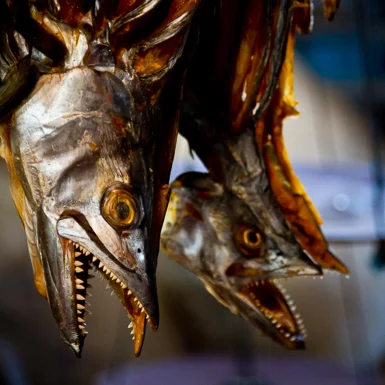 Impressions of a Burmese Fish Market