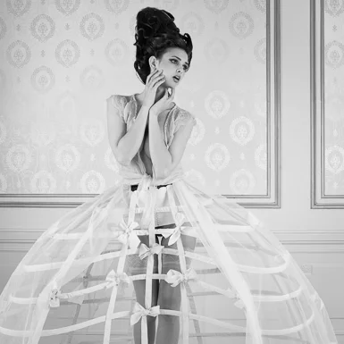Crinoline Dream