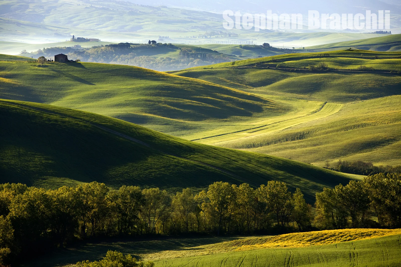 Landscapes